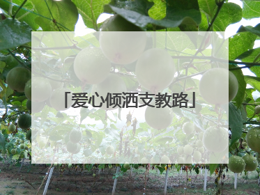 爱心倾洒支教路